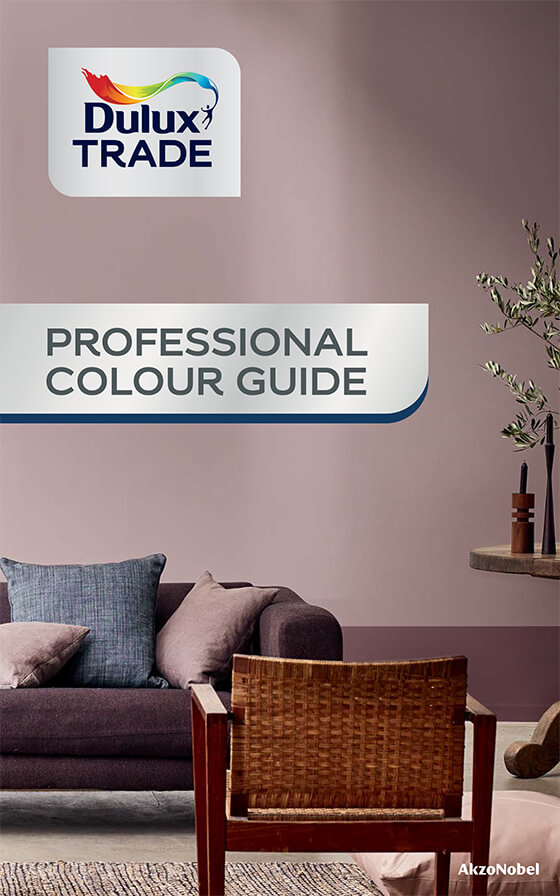 Professional Colour Guide